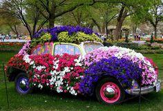 Car in Spring