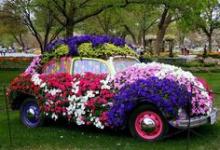 Car in Spring